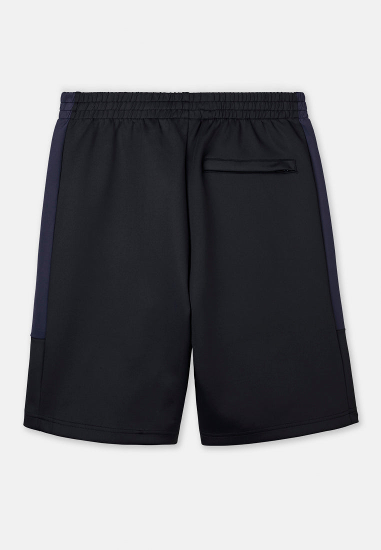 Cheetah Men Track Shorts- 23530